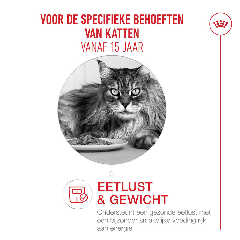 Royal Canin Ageing 15+ - Kattenvoer - 2 Kilogram