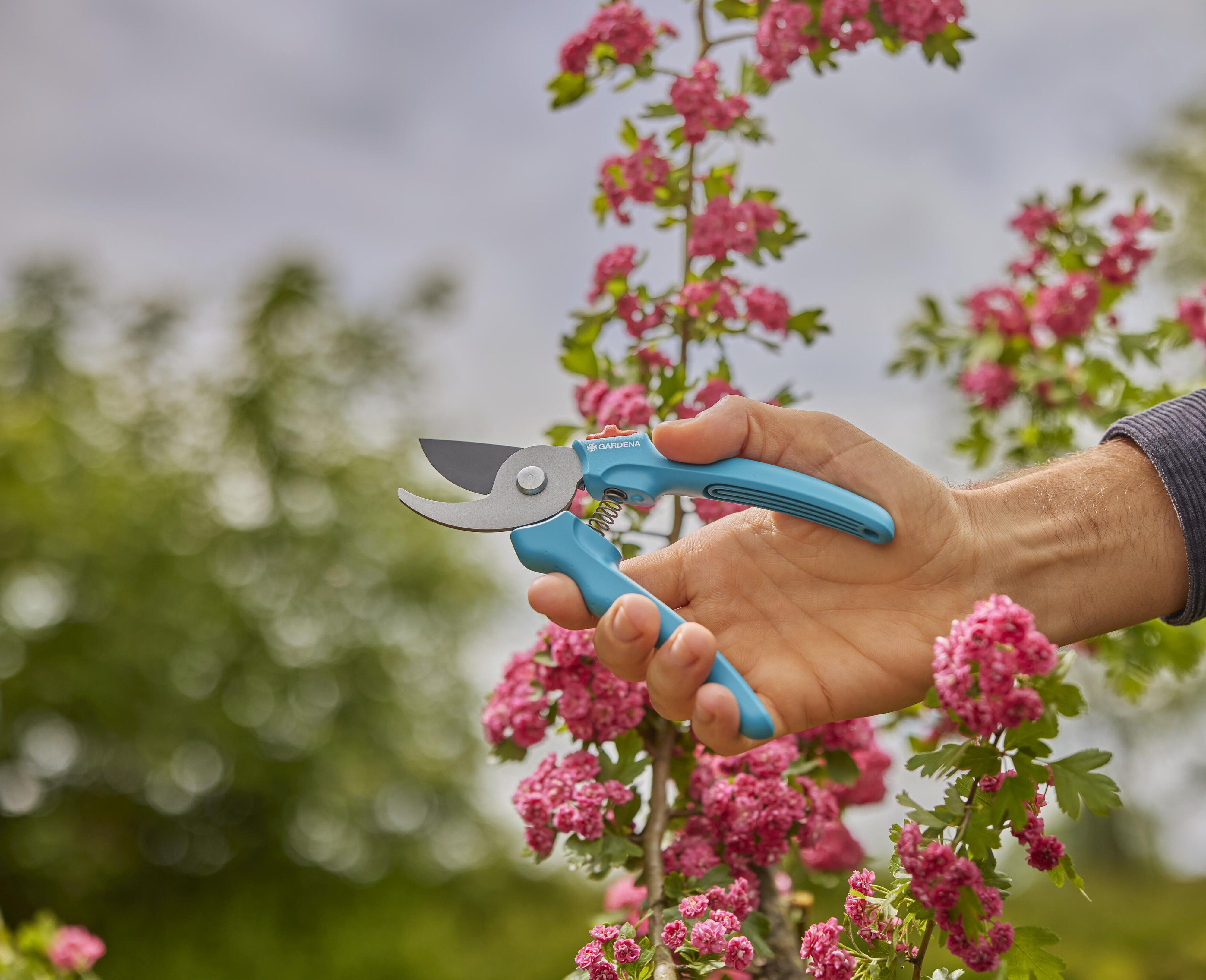 Gardena EasyCut - Snoeischaar - Blauw