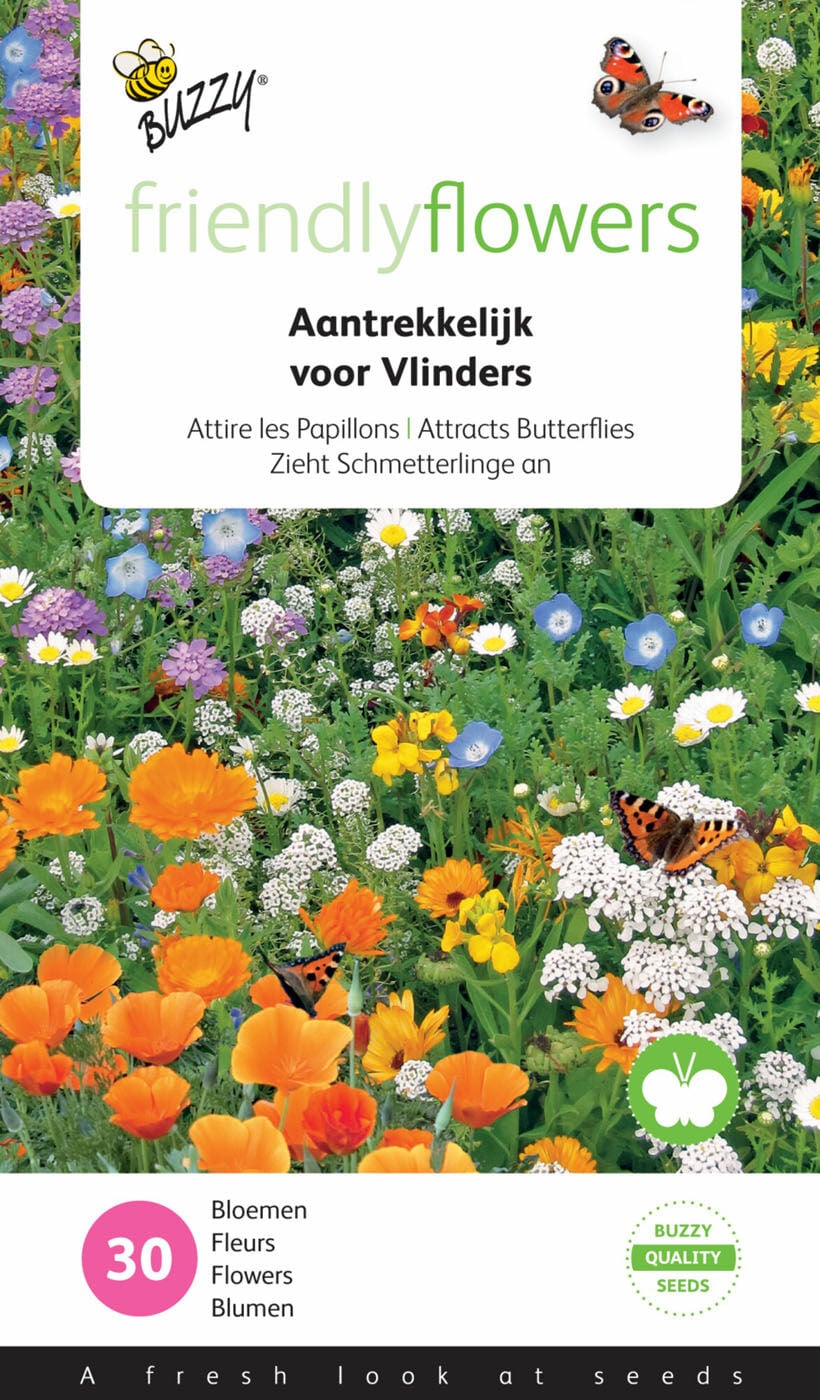 Buzzy Vlinders laag mengsel - Bloemzaden Buzzy Vlinders laag mengsel - Bloemzaden