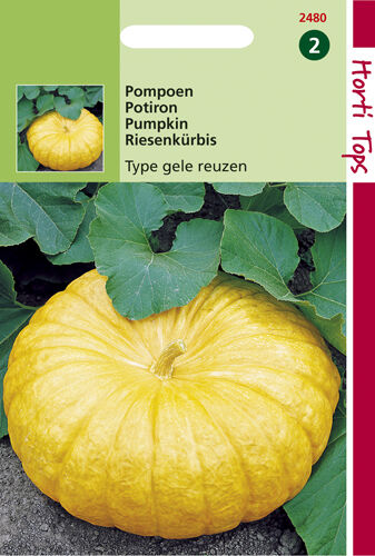 Hortitops Pompoenen Cucurbita maxima Geelvlezige (Centenaars) - Kalebas/Pompoen