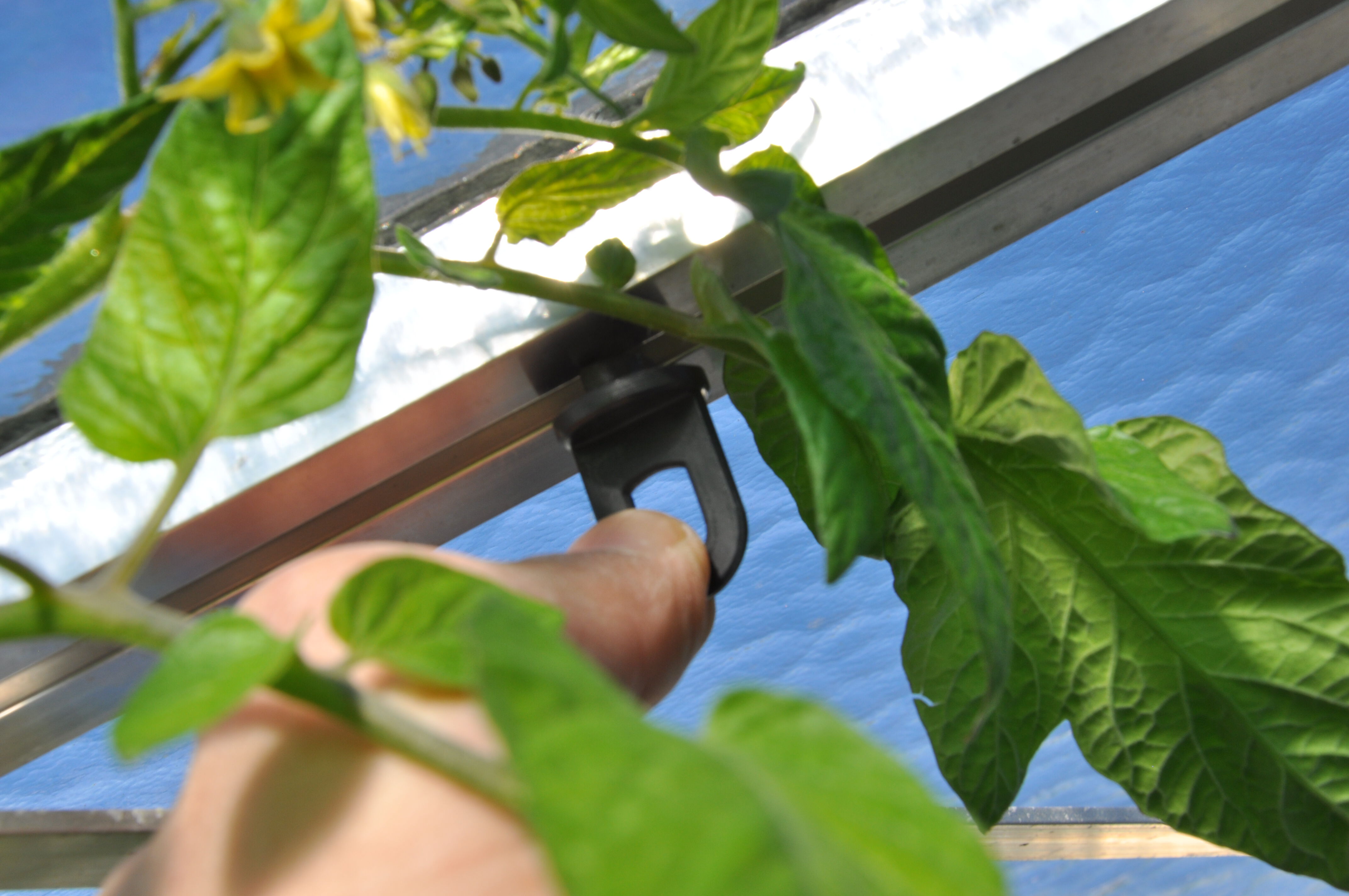 Royal Well Planthangers - Kas accessoire