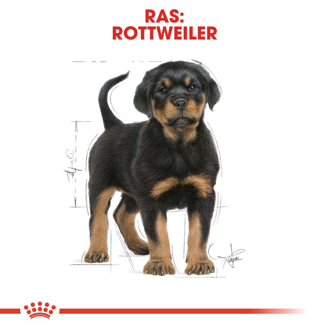 Royal Canin Rottweiler Puppy - Hondenvoer - 3 Kilogram - gevogelte