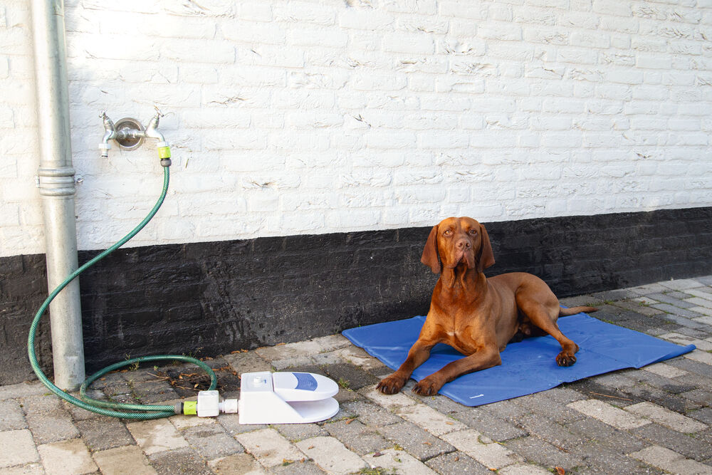 Beeztees Quick Cooler Izi - Koelmat hond - Blauw - XL