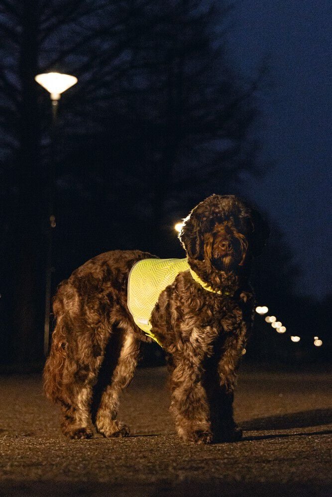Beeztees Ava - Reflecterend Vest - Hond - Geel - S