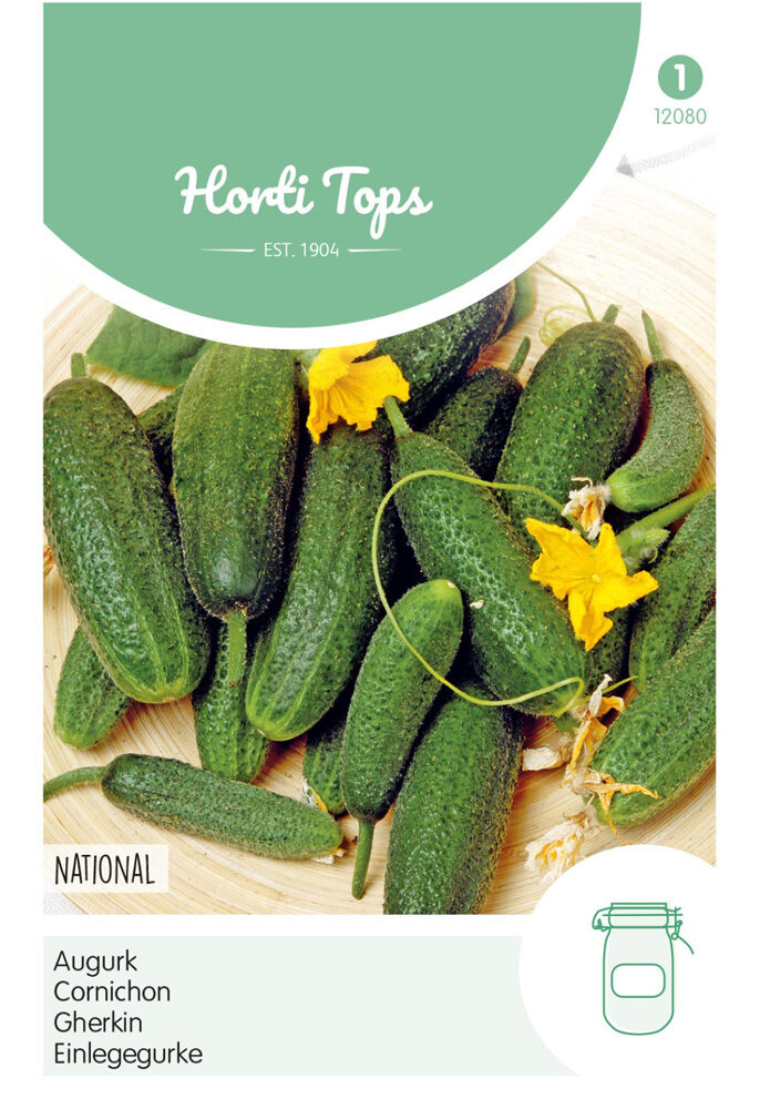 Hortitops Augurken Cucumis sativus National -Kleine Groene- - Groentezaden