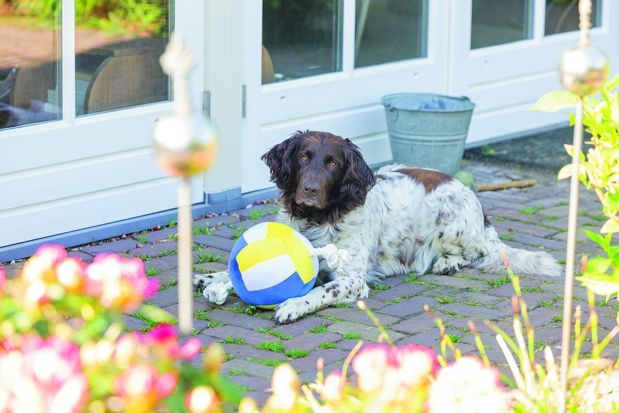 Beeztees -Volleybal Pluche - Knuffel - Flostouw - Hondenspeelgoed