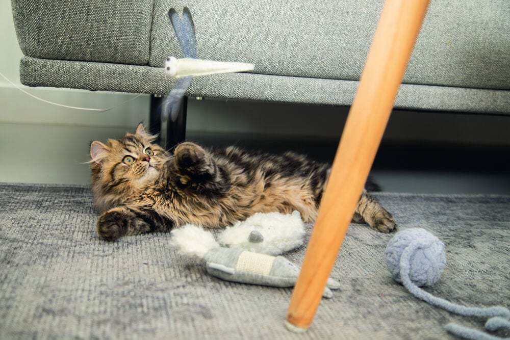 Beeztees Knuffel Lama - Kattenspeeltje