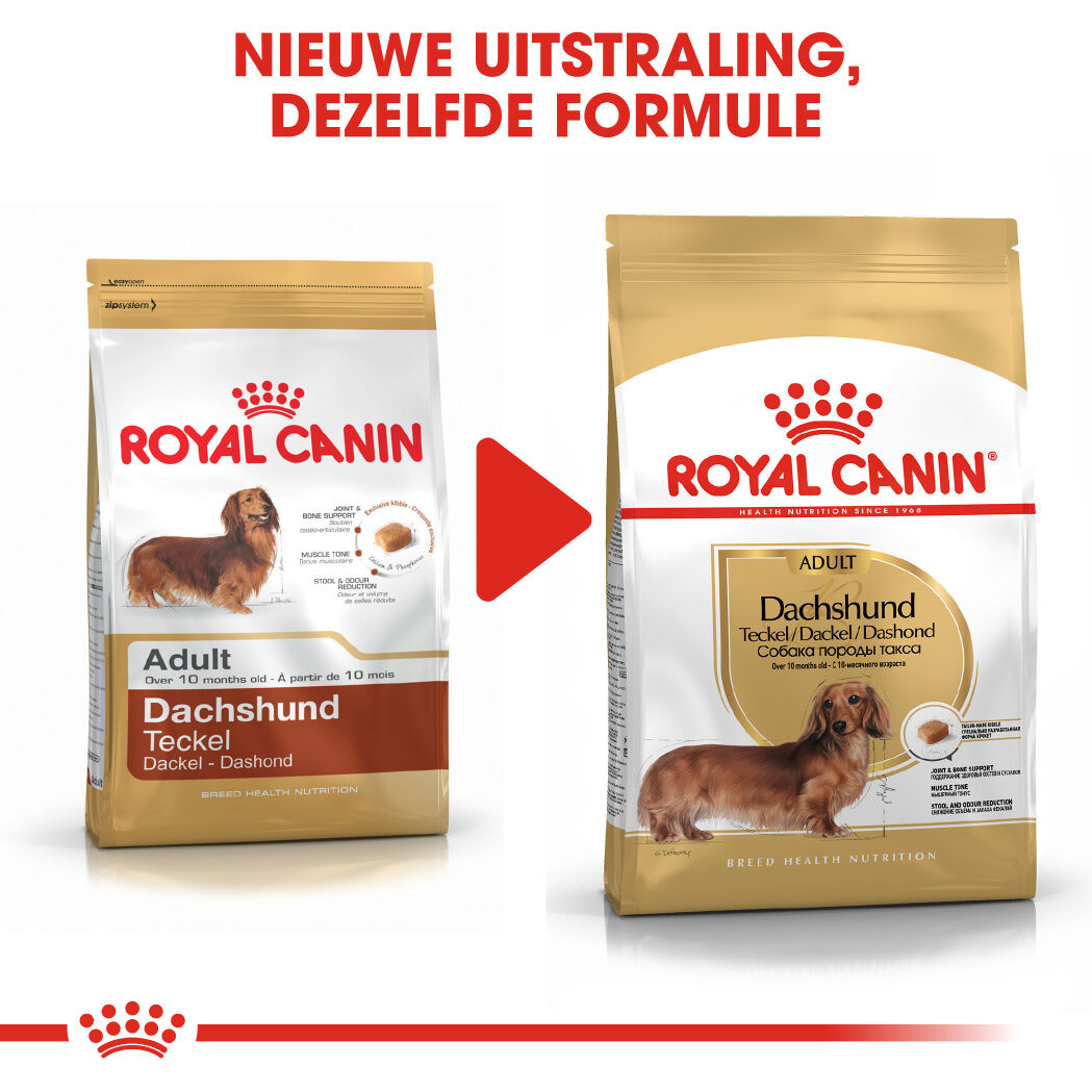 Royal Canin BHN Dachshund Adult -  Hondenvoer - 1500 Gram - gevogelte