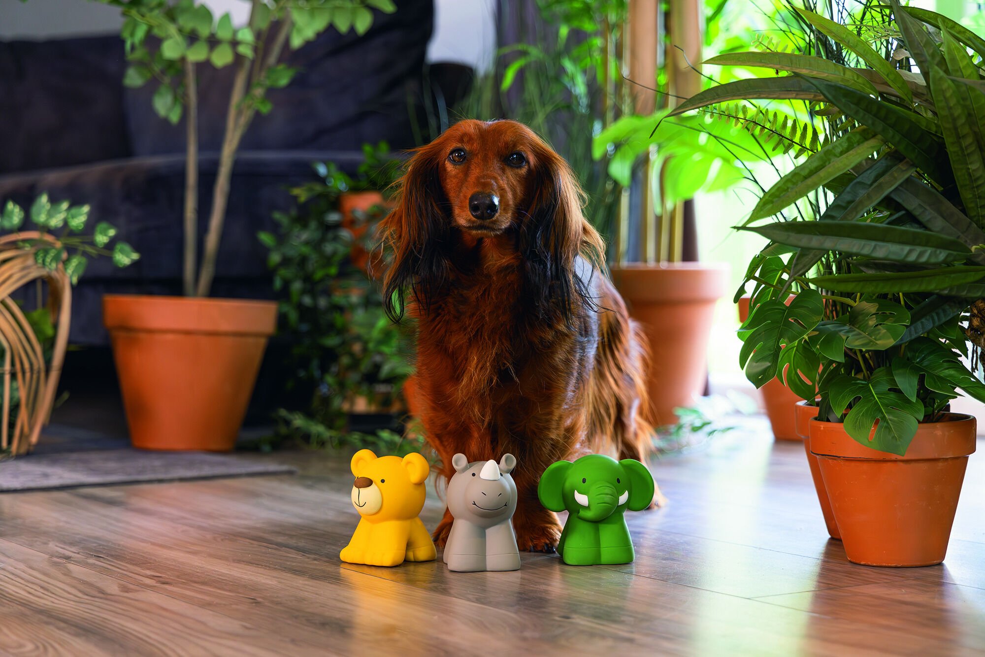 Beeztees Jungle dieren - Hondenspeelgoed