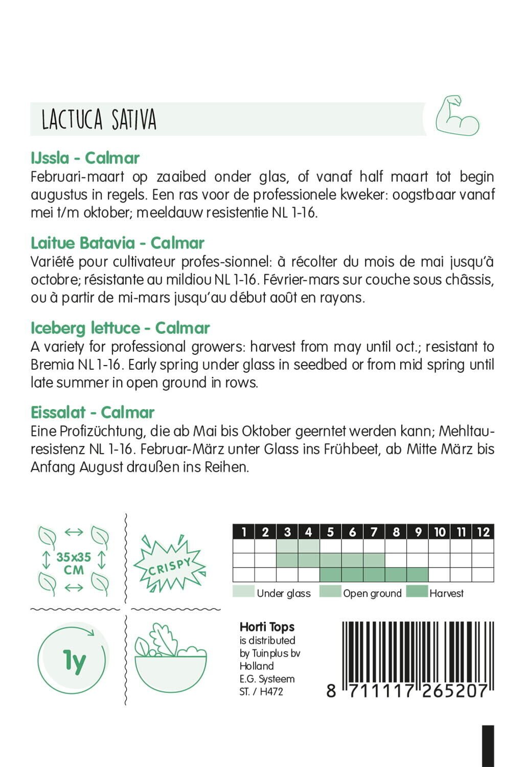 Hortitops Ijssla Lactuca sativa Raptor (vh Dublin) - Groentezaden