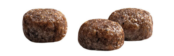 Prins Protection Croque Mini Junior Performance - Hondenvoer - 2 Kilogram - kip