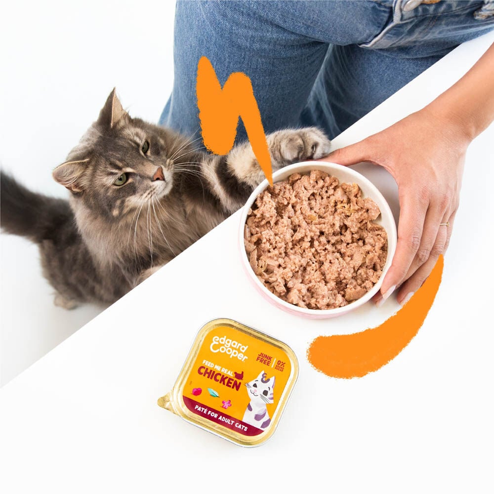 Edgard & Cooper Multipack Paté - Kattenvoer - 8x85 gram - 85 Gram - zalm, kalkoen, kip