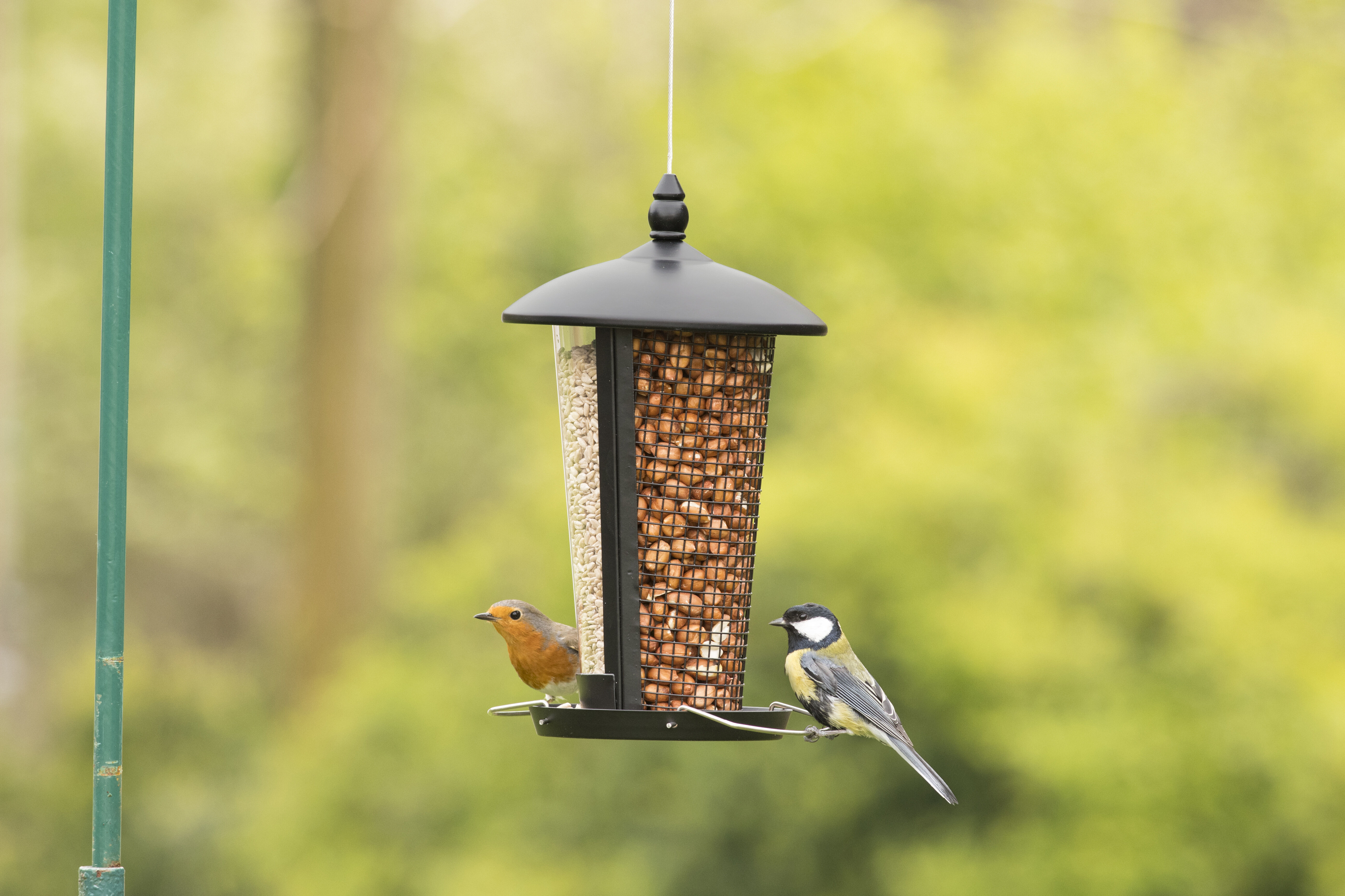 CJ Wildlife Edessa  Combi - Voederhuis Tuinvogels - 27.5x16x16 cm