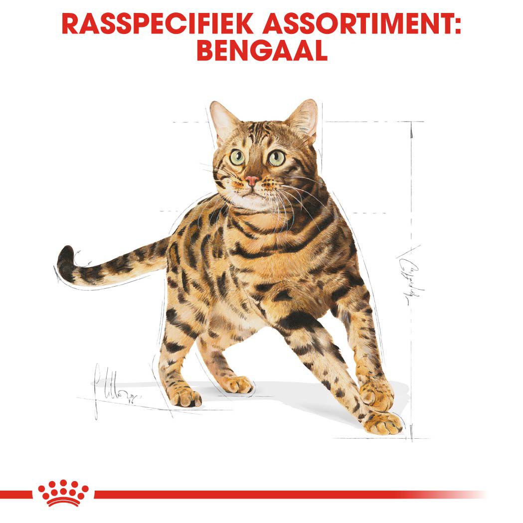Royal Canin Bengal Adult - Kattenvoer - 2 Kilogram - Gevogelte