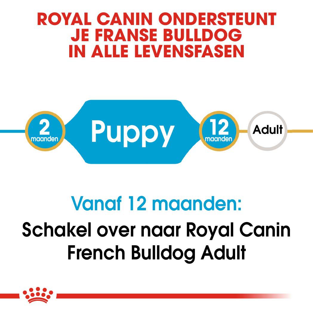 Royal Canin Franse Bulldog Puppy - Hondenvoer - 10 Kilogram - gevogelte