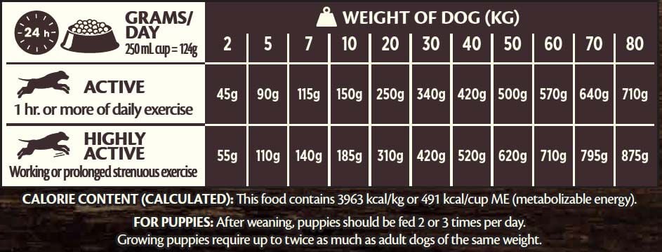 Wellness CORE Adult Active Life - Hondenvoer - 10 Kilogram - kip