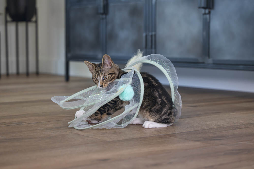 Beeztees Gabi - Katten Speelspiraal - Multi