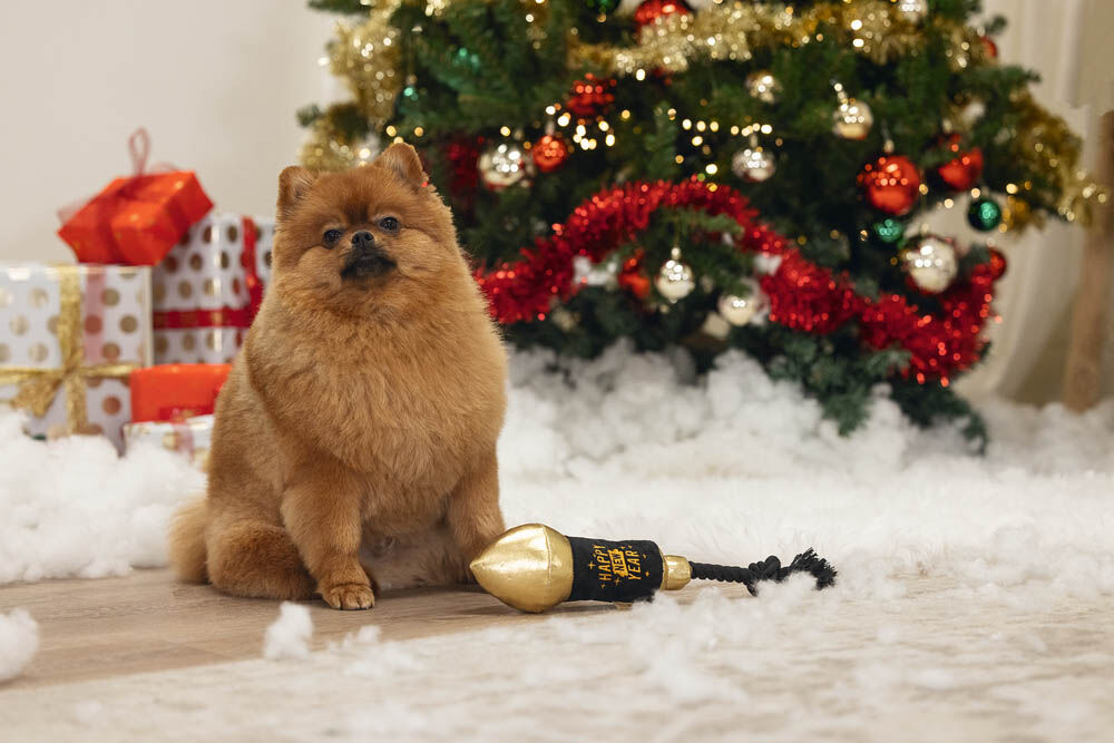 Beeztees Vuurpijl - Flostouw - Kerst Hondenspeelgoed