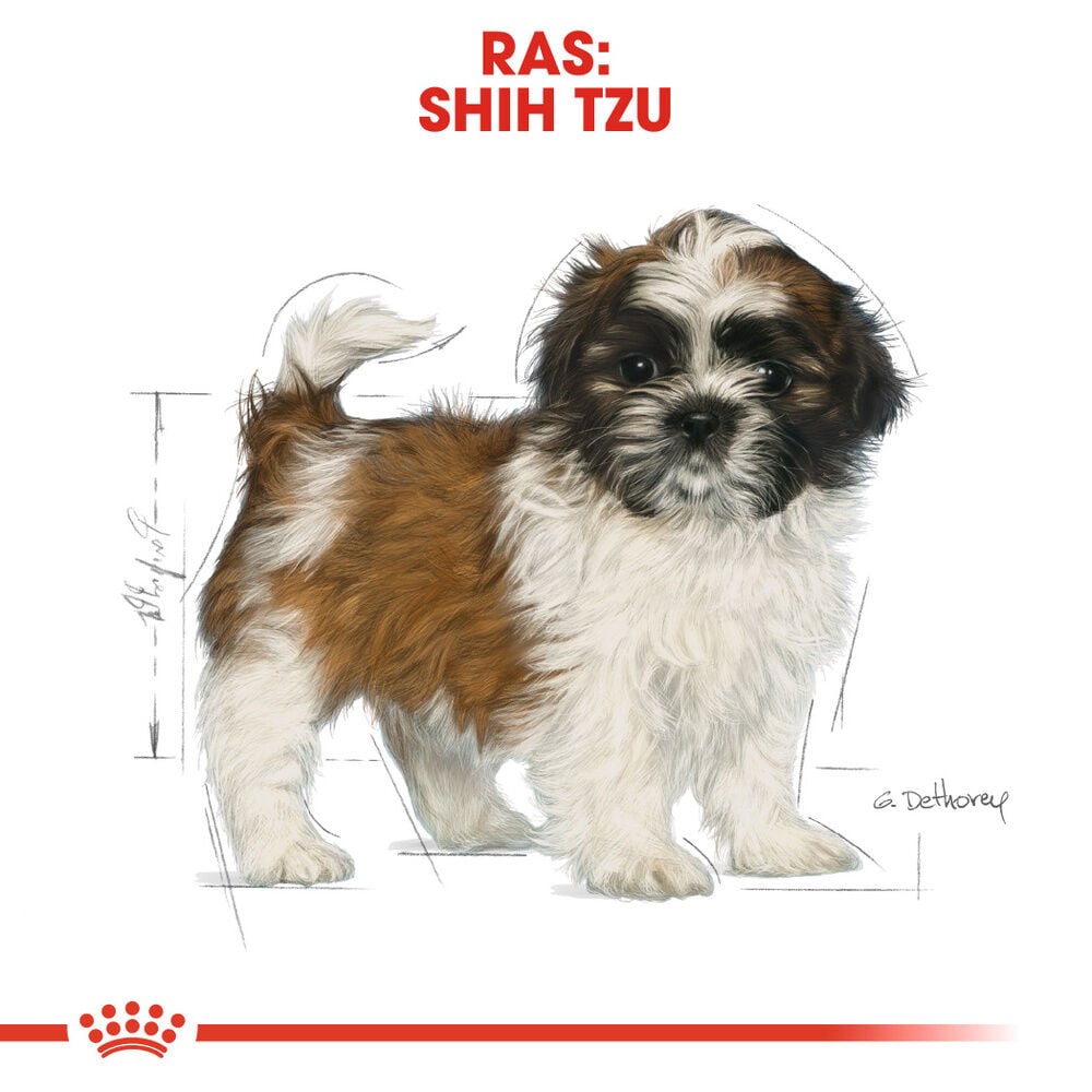 ROYAL CANIN® Rasvoeding - Hondenvoer - 1500 Gram - gevogelte