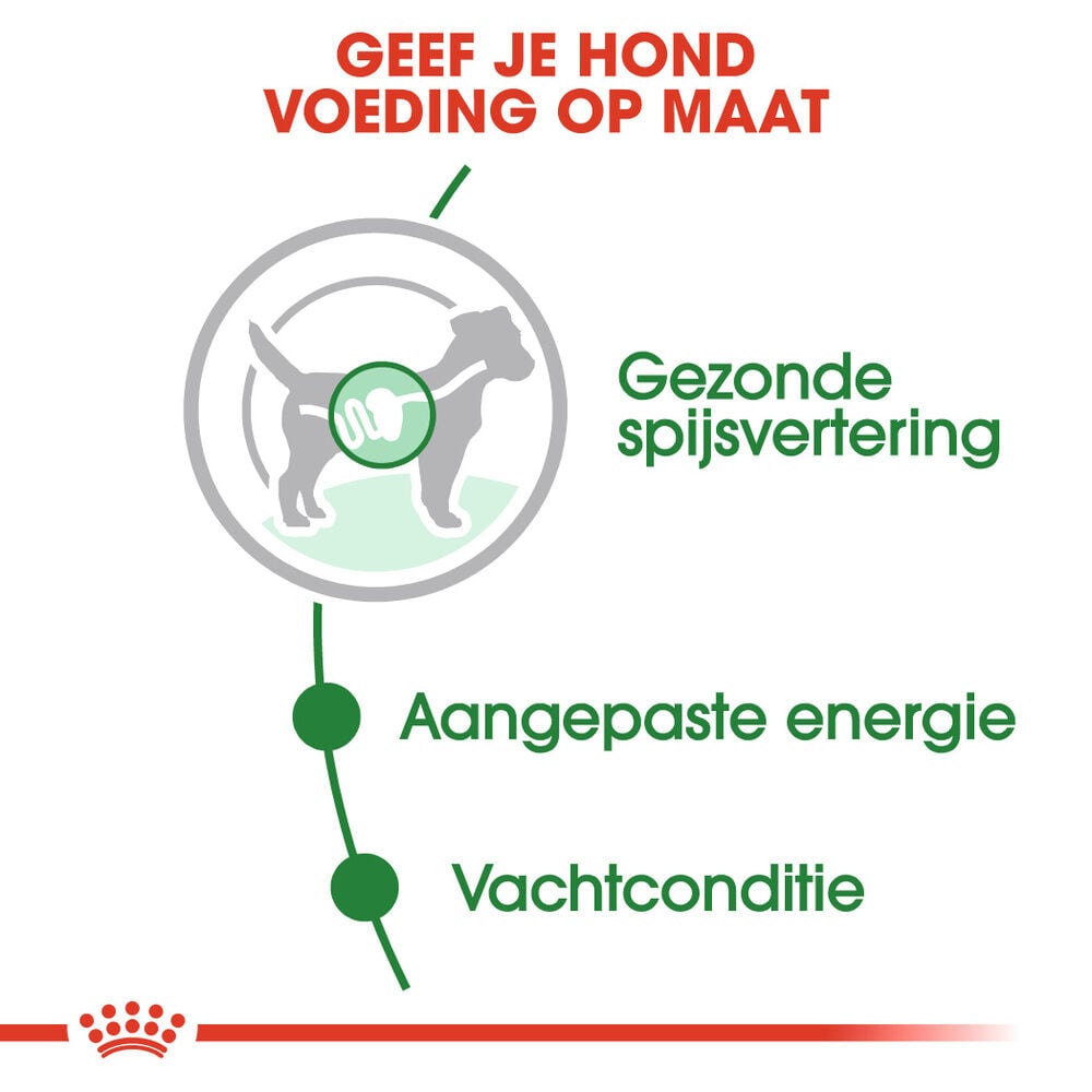 Royal Canin Mini Adult - Hondenvoer - 1020 Gram - gevogelte