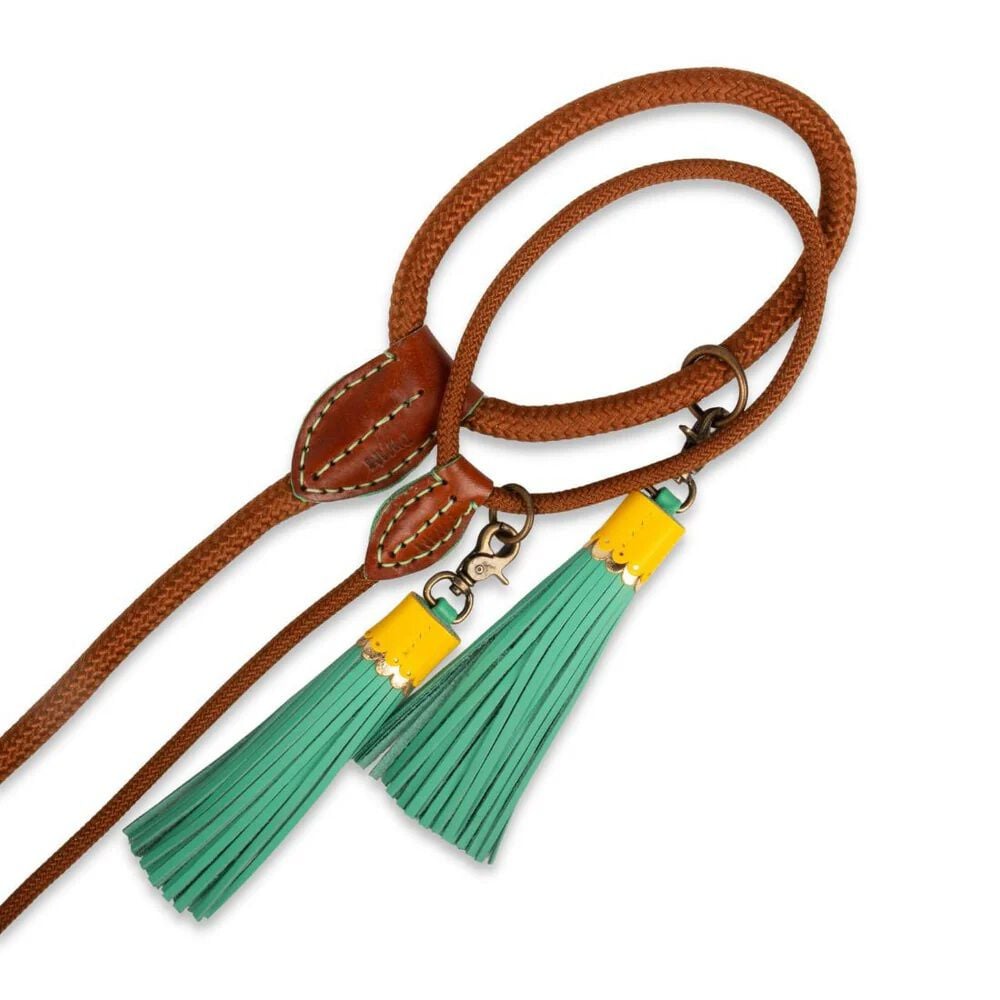 Dwam Rover 155 cm - Trainingslijn Hond - Bruin