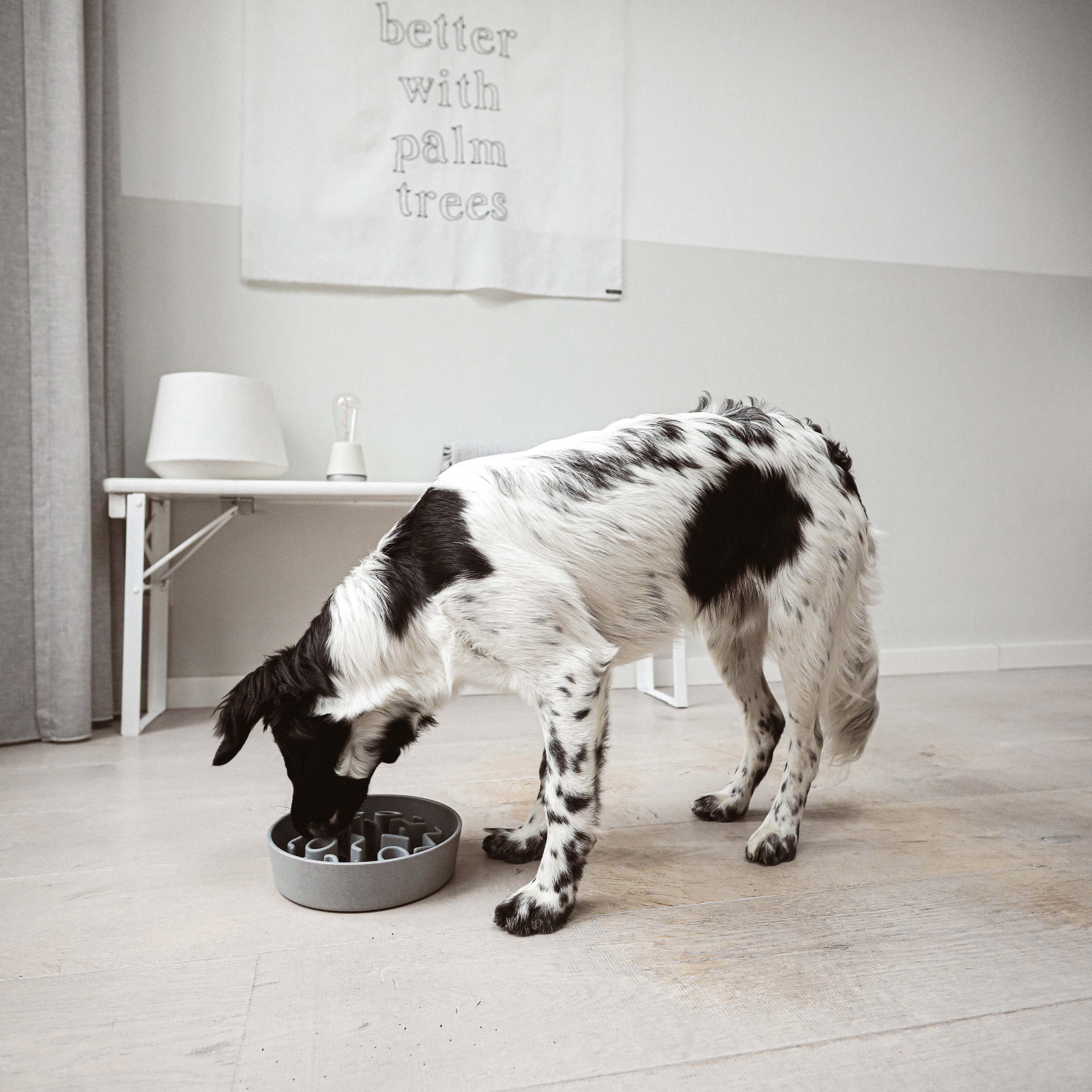 District 70 Bamboe - Anti schrokbak - Beige - 28 cm