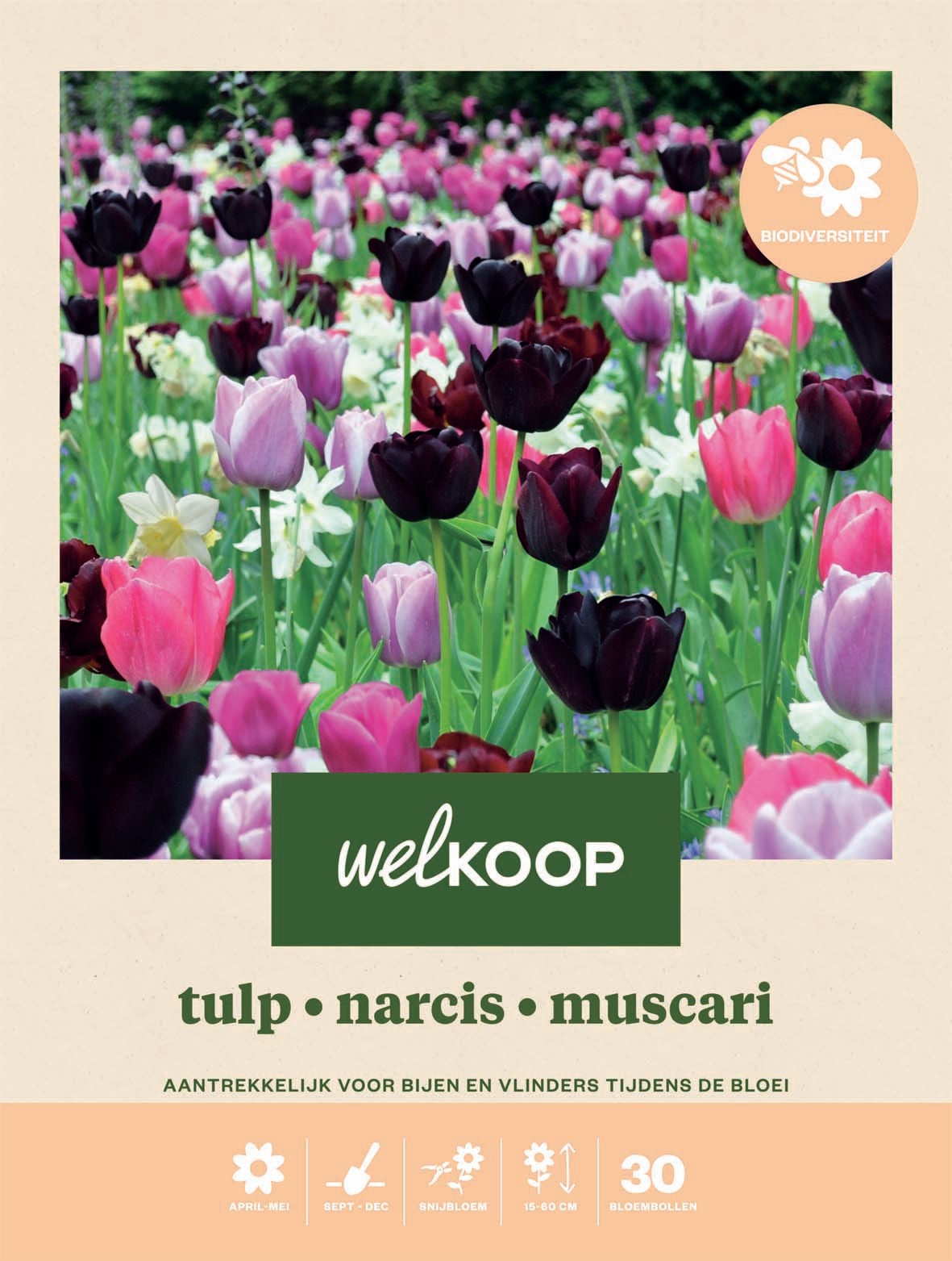 Welkoop Tulp Narcis Blauwe druifjes Biodiversiteit - Bloembollen Welkoop Tulp Narcis Blauwe druifjes Biodiversiteit - Bloembollen