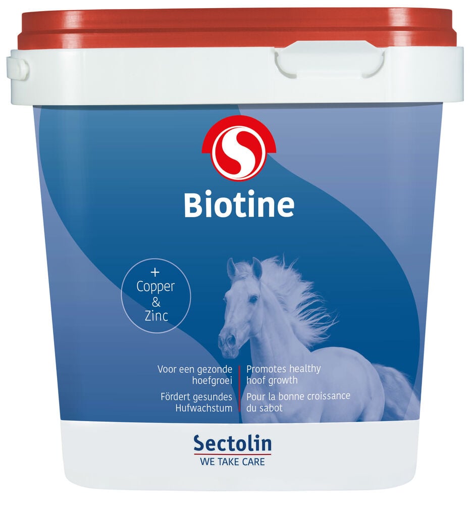 Sectolin Biotine Poeder - Hoeven supplement Paard - 1 Kilogram - Emmer Sectolin Biotine Poeder - Hoeven supplement Paard - 1 Kilogram - Emmer