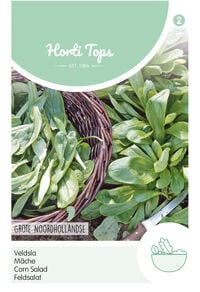 Hortitops Veldsla Valerianella Locusta - Groentezaden