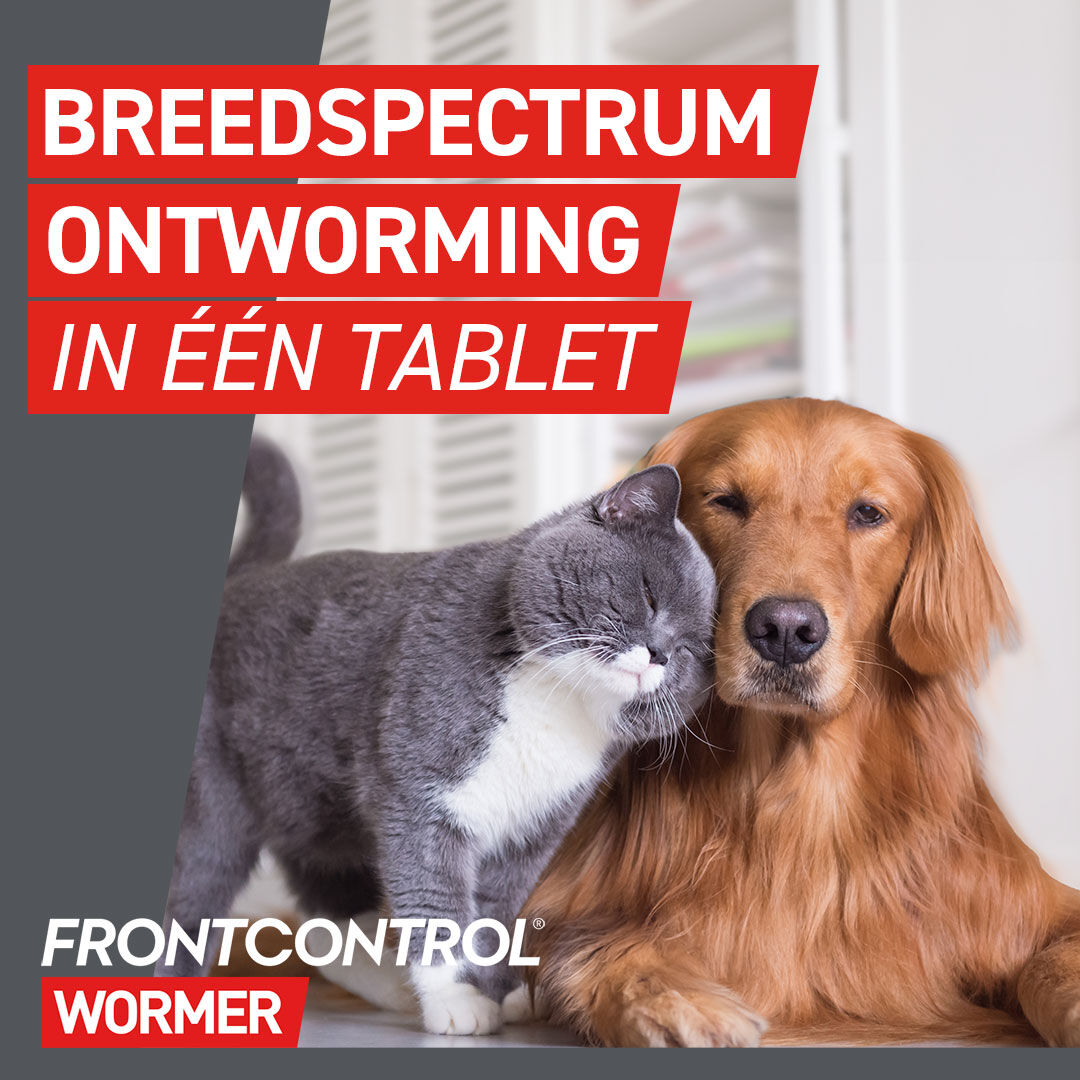 Frontcontrol - Ontwormer Kat - 2 tabletten - 2 Stuks