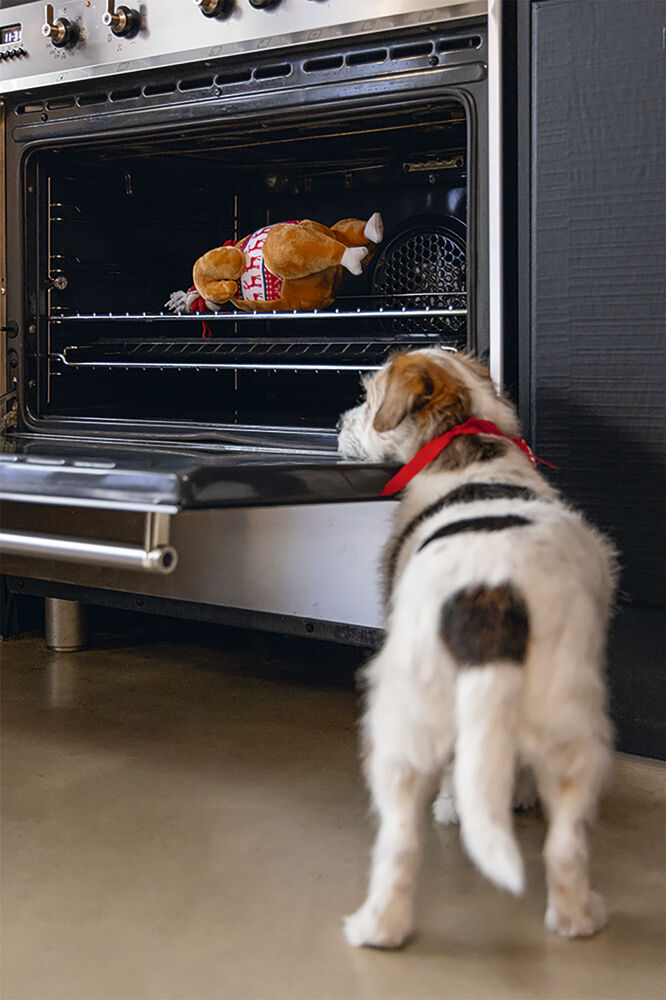 Beeztees Winter Kalkoen - Knuffel - Hondenspeelgoed - Beige - 30x18x18 cm