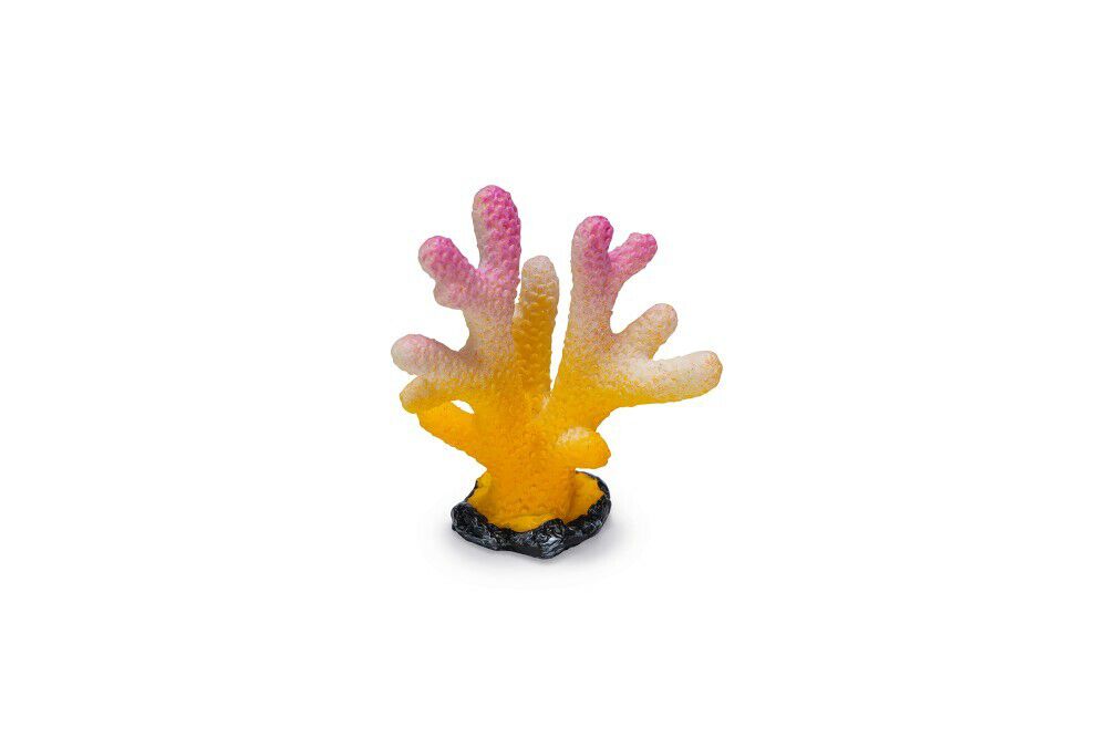 Beeztees Koraal - Aquarium Ornament - 4 Stuks - Assorti