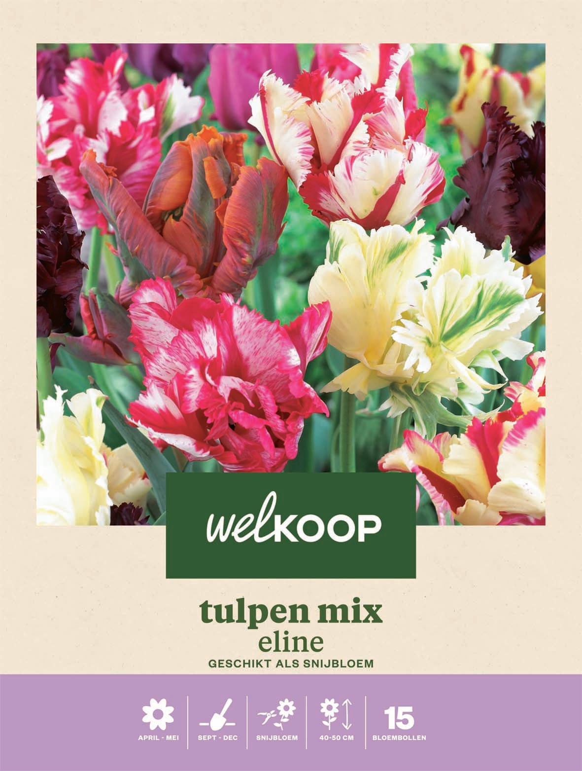 Welkoop Tulpen mix Eline - Bloembollen