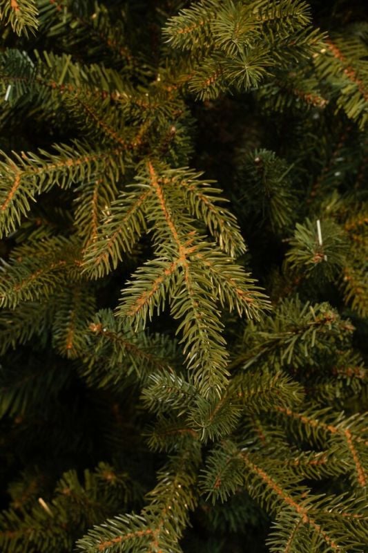 Black Box Meran - Kunstkerstboom - Groen - 185 cm