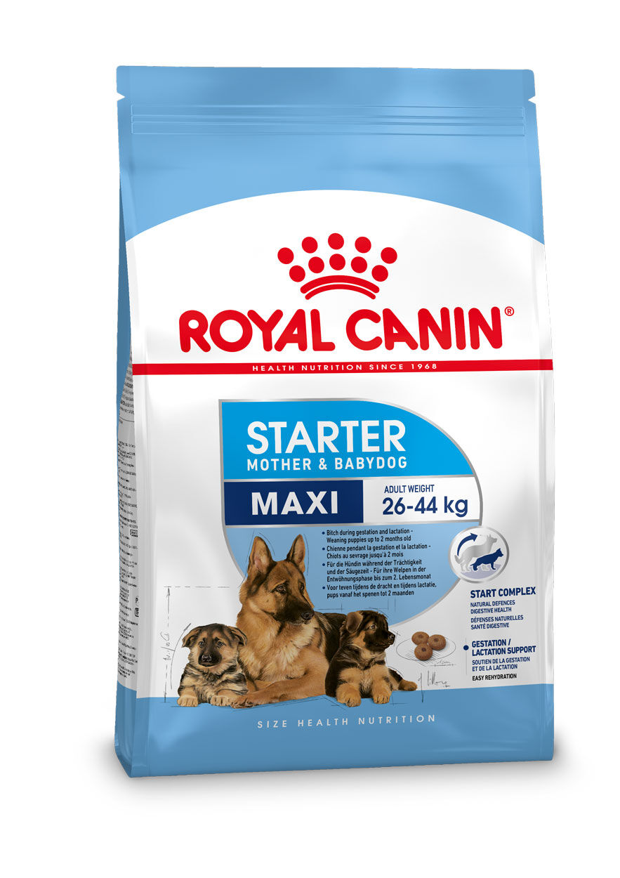 Royal Canin Maxi Starter Mother and Babydog - Hondenvoer - 15 Kilogram - gevogelte Royal Canin Maxi Starter Mother and Babydog - Hondenvoer - 15 Kilogram - gevogelte