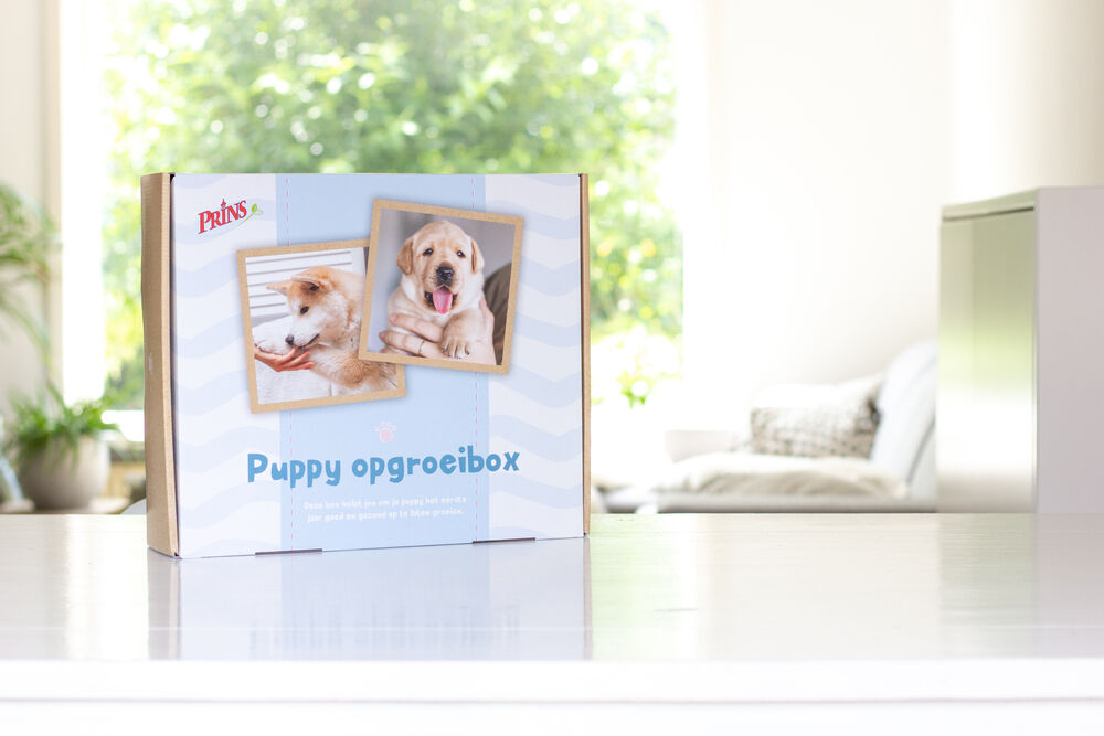 Prins Opgroeibox ProCare Puppy & Junior Perfect Start - Hondenvoer - kip, kalkoen