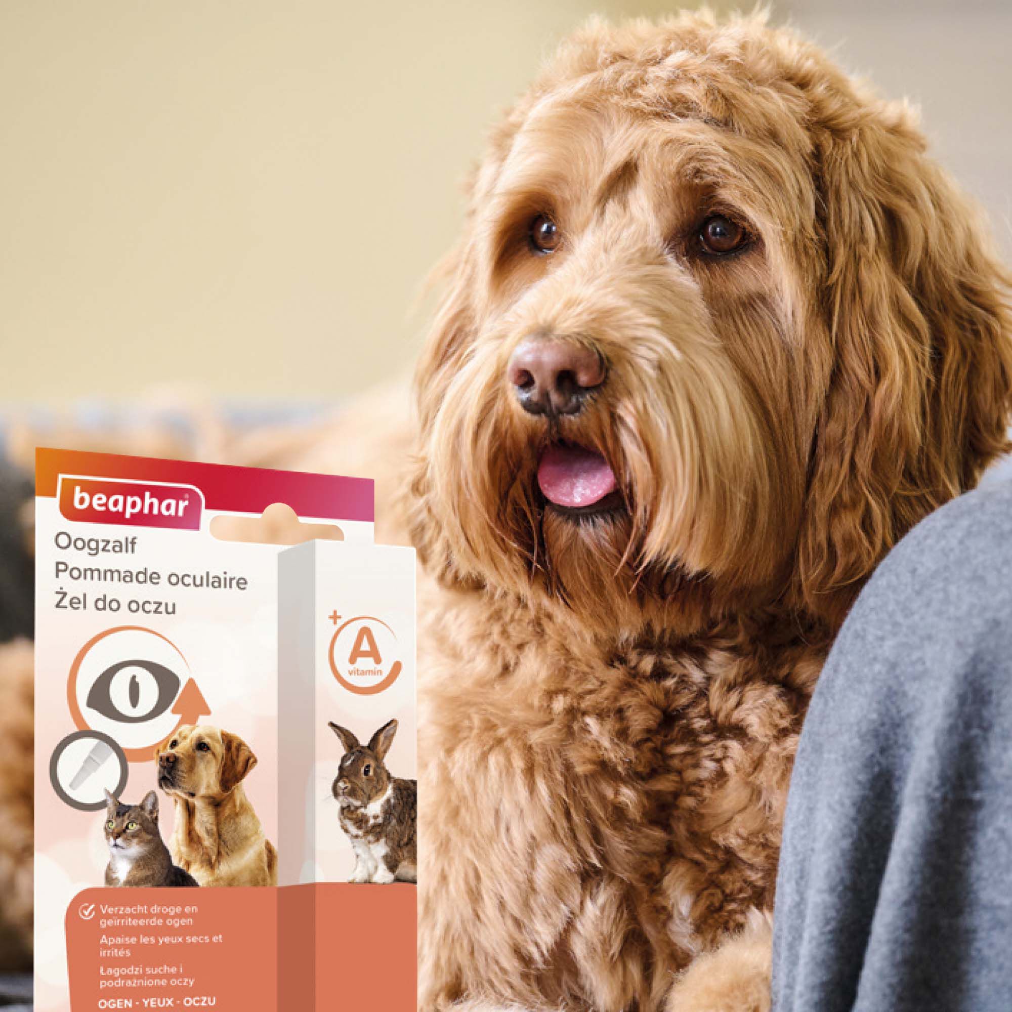 Beaphar Oogzalf - Alle dieren - 5 Milliliter