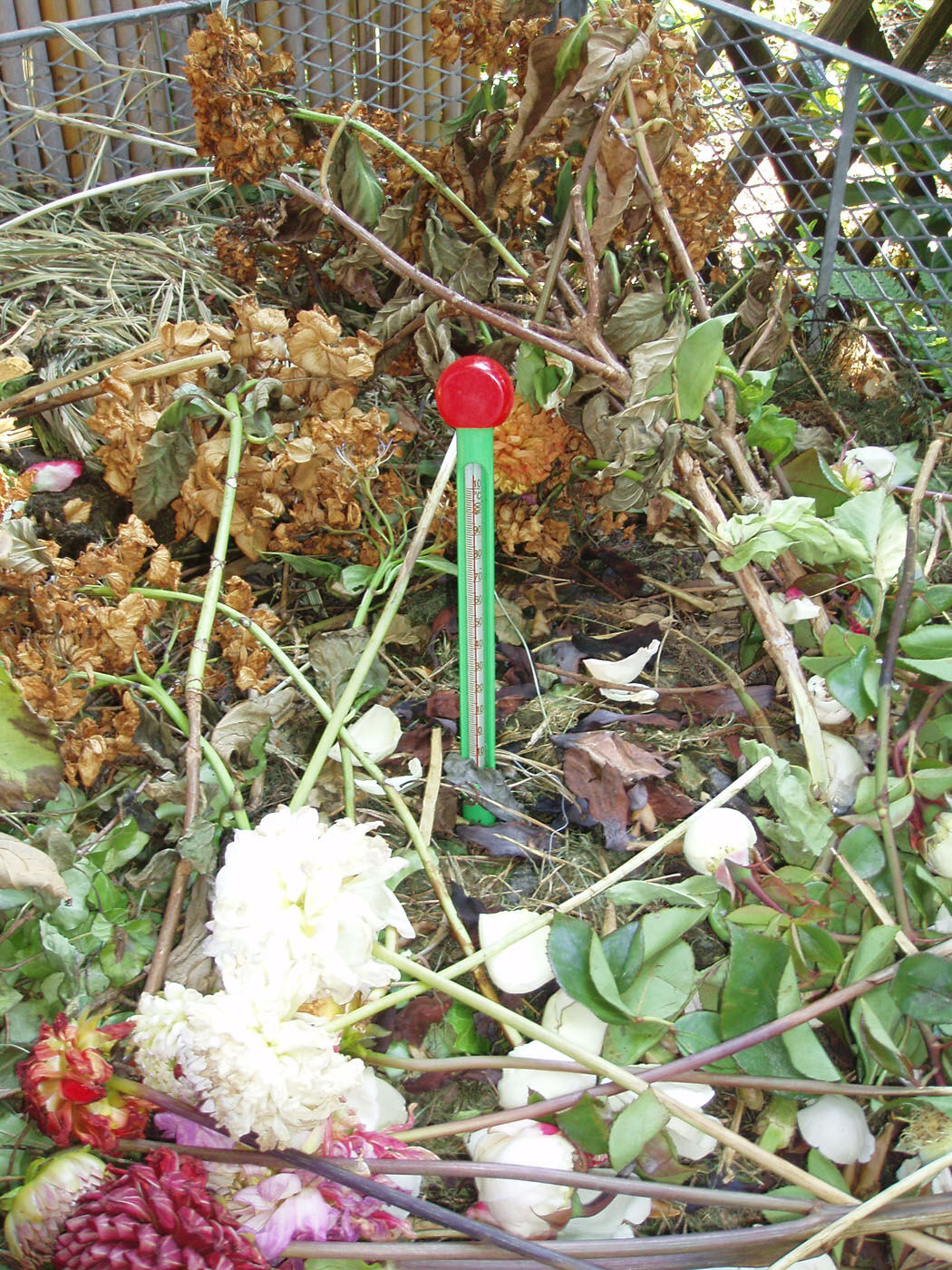 Nature Compostthermometer - Thermometer - Groen