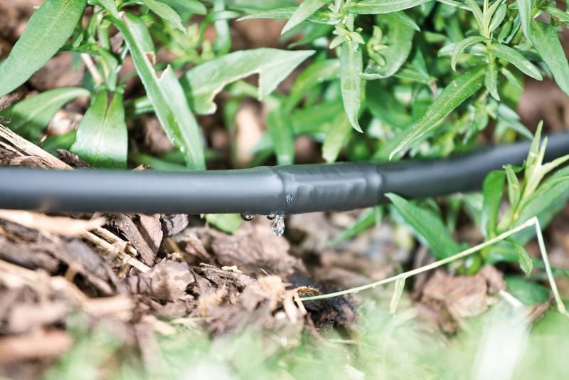 Rehau - Druppelslangset 16 mm - 15 m