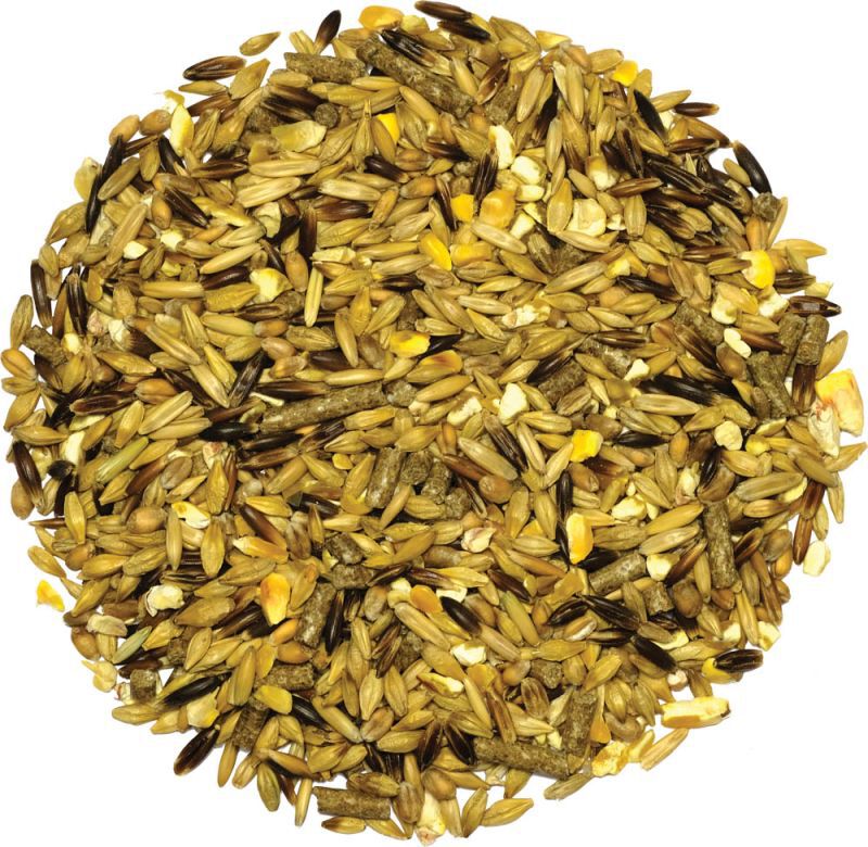 Equilannoo Explo Grain - Sport/ Prestatie - 20 Kilogram