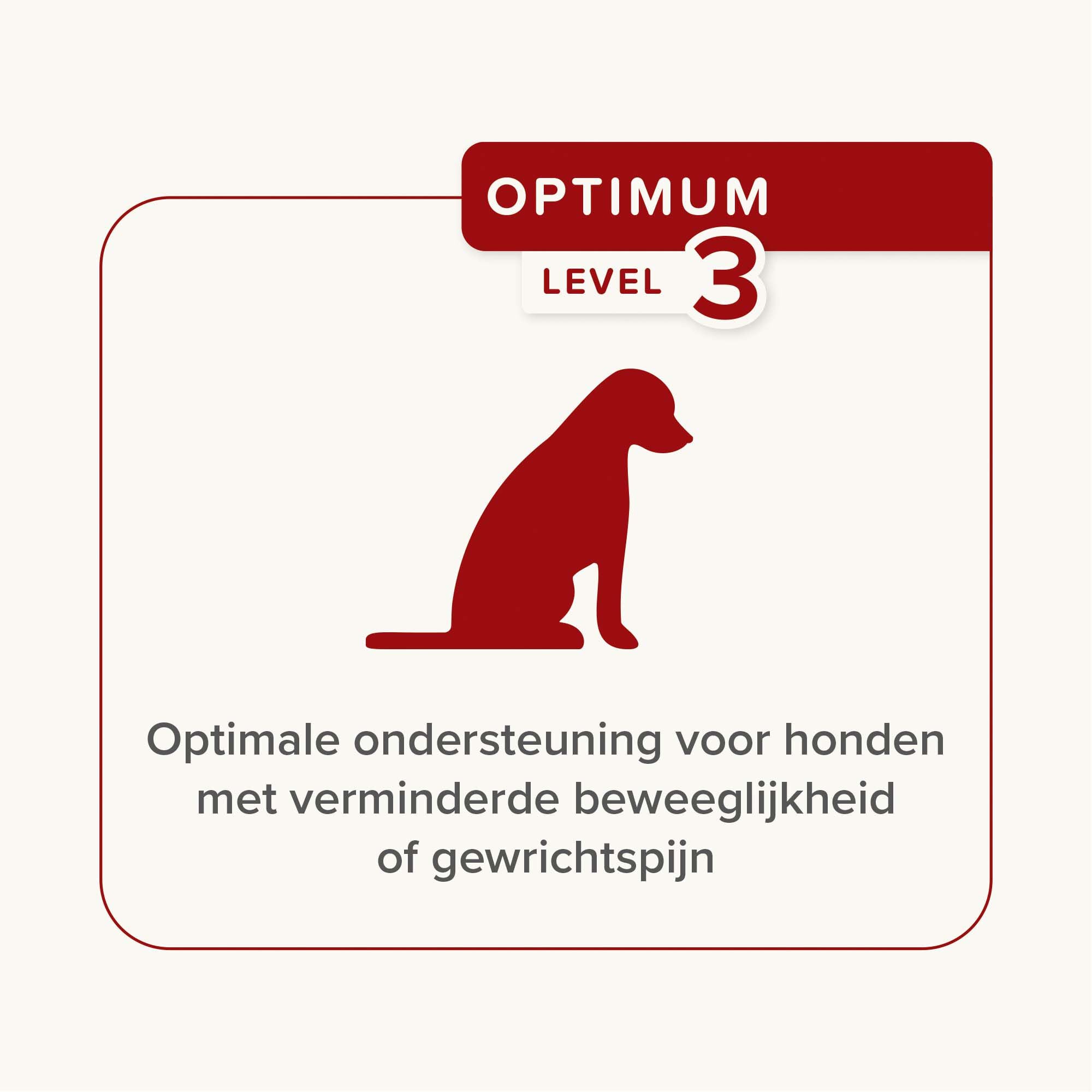 Beaphar Flexifit Chews - Gewrichten Hond - 175 Gram
