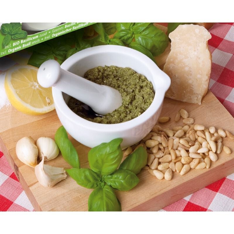 Buzzy Vijzel Pesto  Bio Basilicum - Groentezaden