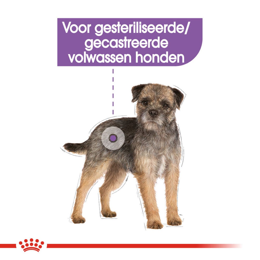 Royal Canin Sterilised Wet - Hondenvoer - 12x85 gram - 1020 Gram - gevogelte