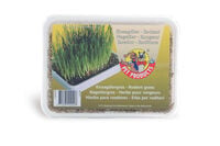 Beeztees Knaagdiergras in Box - 130 Gram