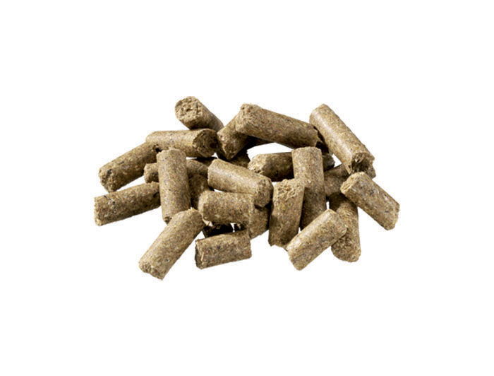 Pavo Condition - Basisvoeding - 20 Kilogram - Zak