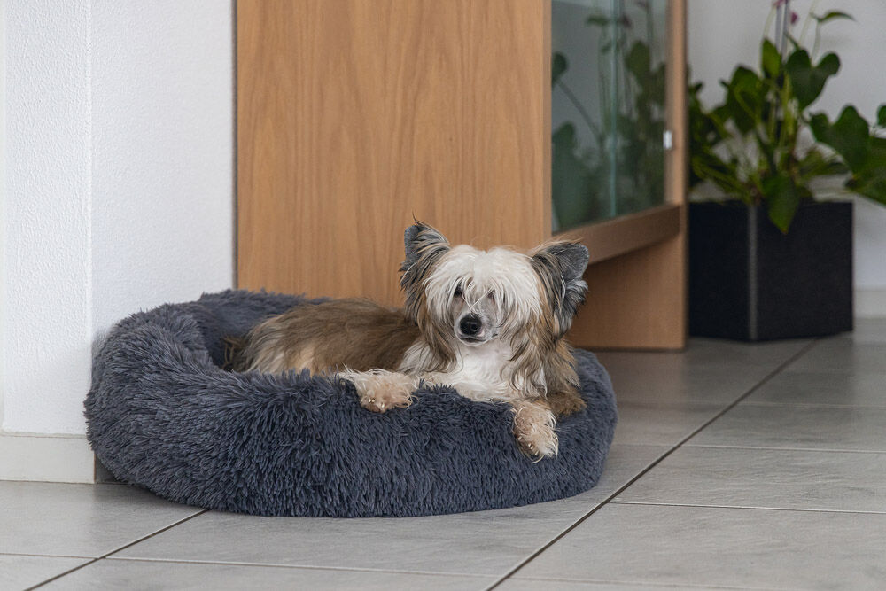 Karlie Agnes - Hondenmand - Grijs - 20x58.5x58.5 cm - Middel