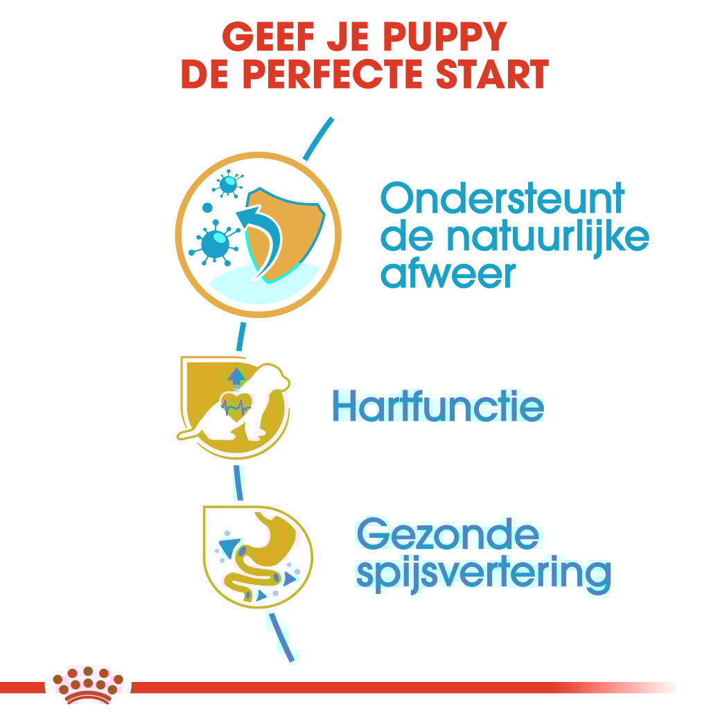 Royal Canin Cavalier King Charles Puppy - Hondenvoer