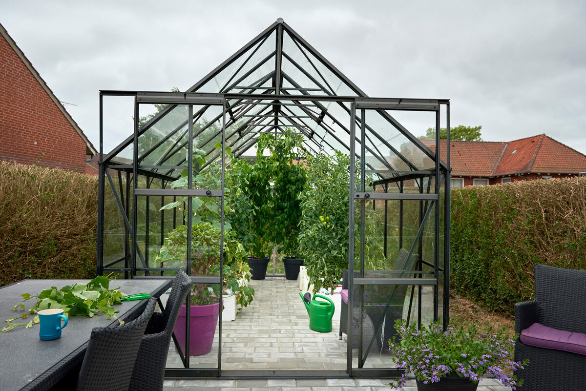 Halls Greenhouses Magnum 148 - Tuinkas - Zwart - 258x257x446 cm - Veiligheidsglas
