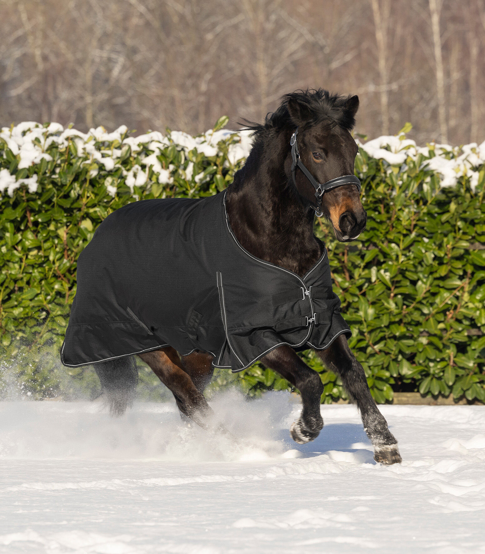 Waldhausen Nordic Fleece - Winterdeken - Paardendeken - Zwart - 95/145