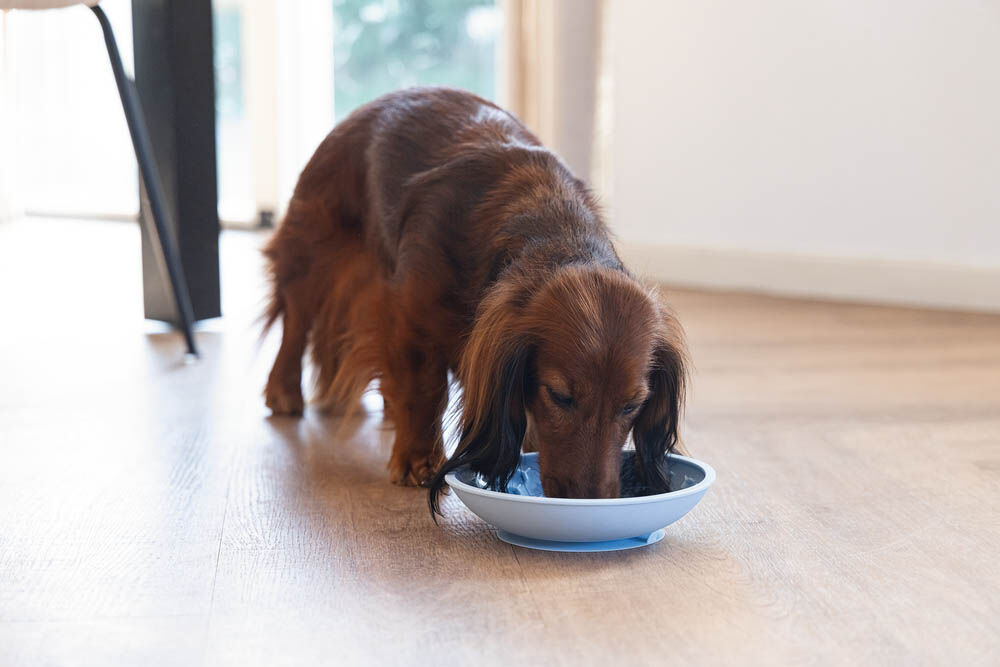 Beeztees Siliconen - Likmat - Lichtblauw